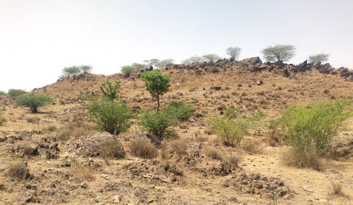 Non forest site from Gurugram division in Haryana