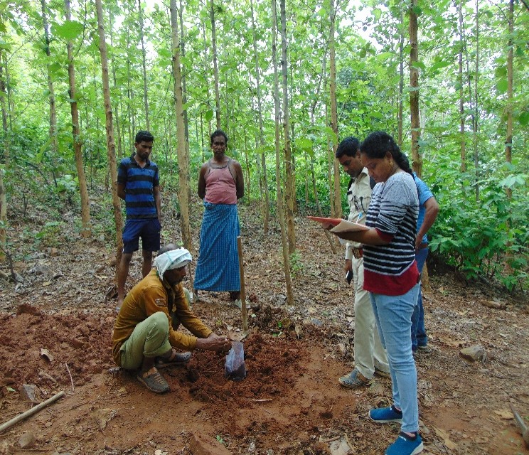 Soil Sample Collection