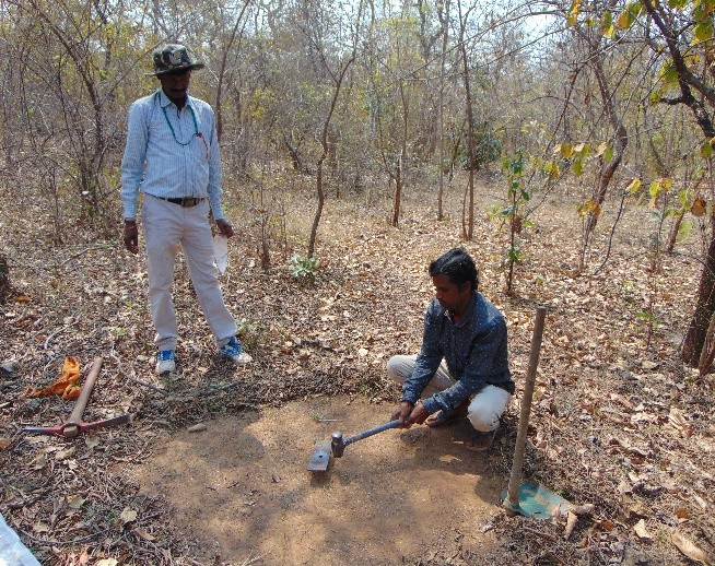 Soil Sample Collection