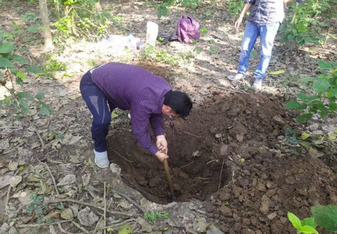 Soil Sample Collection